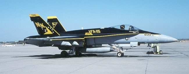 Hasegawa 1/48 F-18C Hornet 'VFA-115 CAG'